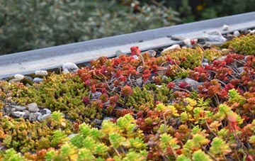 the cost of Lanivet green roof installation