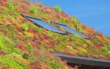 Lanivet living roof systems
