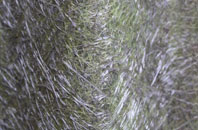 Lanivet fibreglass roof work